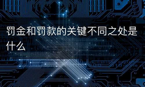 罚金和罚款的关键不同之处是什么
