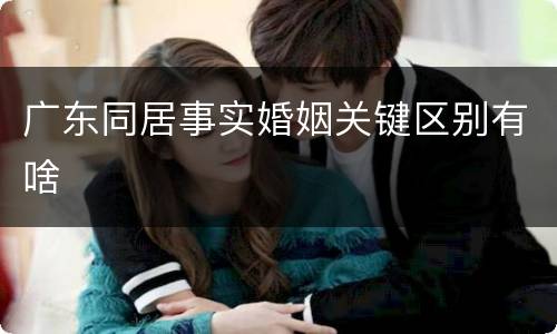 广东同居事实婚姻关键区别有啥