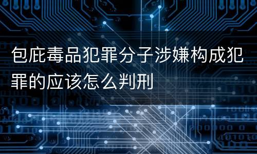 包庇毒品犯罪分子涉嫌构成犯罪的应该怎么判刑