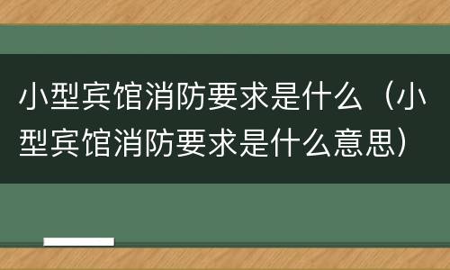 小型宾馆消防要求是什么（小型宾馆消防要求是什么意思）