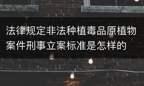 法律规定非法种植毒品原植物案件刑事立案标准是怎样的