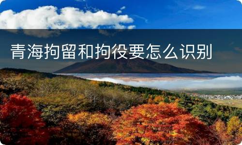 青海拘留和拘役要怎么识别