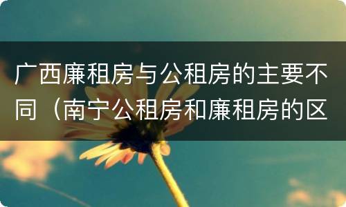 广西廉租房与公租房的主要不同（南宁公租房和廉租房的区别）