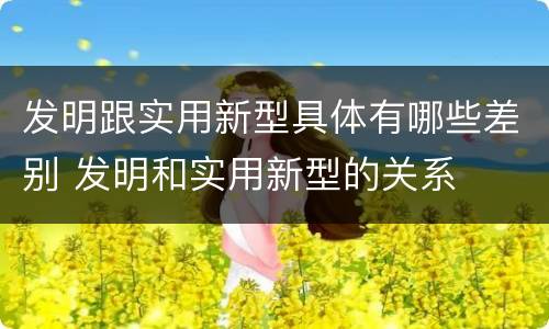 发明跟实用新型具体有哪些差别 发明和实用新型的关系