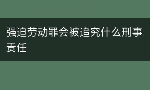 强迫劳动罪会被追究什么刑事责任