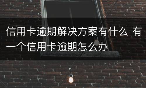 信用卡逾期解决方案有什么 有一个信用卡逾期怎么办