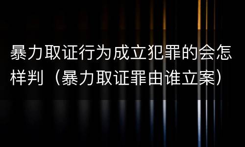 暴力取证行为成立犯罪的会怎样判（暴力取证罪由谁立案）
