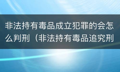 非法持有毒品成立犯罪的会怎么判刑（非法持有毒品追究刑事责任吗）
