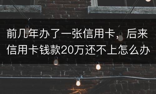 前几年办了一张信用卡，后来信用卡钱款20万还不上怎么办。