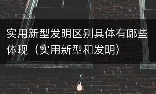 实用新型发明区别具体有哪些体现（实用新型和发明）