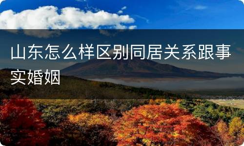 山东怎么样区别同居关系跟事实婚姻