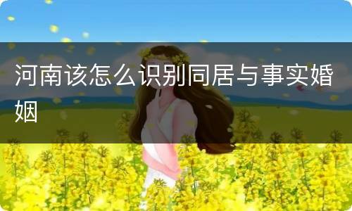 河南该怎么识别同居与事实婚姻