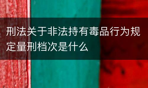 刑法关于非法持有毒品行为规定量刑档次是什么