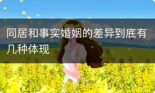 同居和事实婚姻的差异到底有几种体现