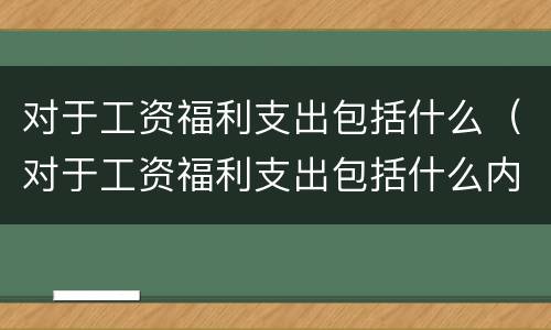 对于工资福利支出包括什么（对于工资福利支出包括什么内容）