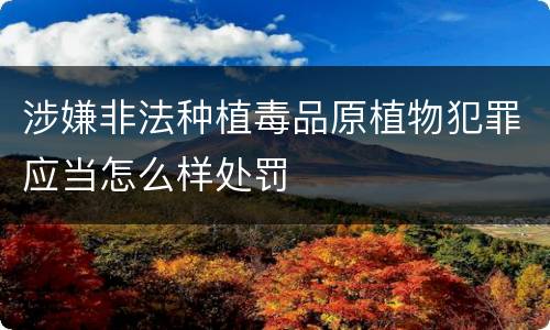 涉嫌非法种植毒品原植物犯罪应当怎么样处罚