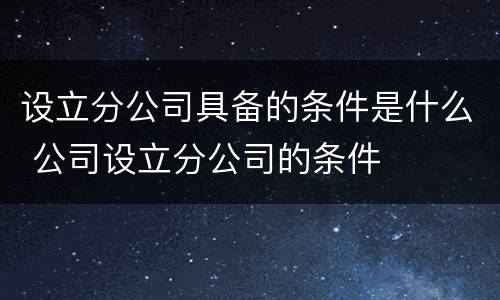 设立分公司具备的条件是什么 公司设立分公司的条件