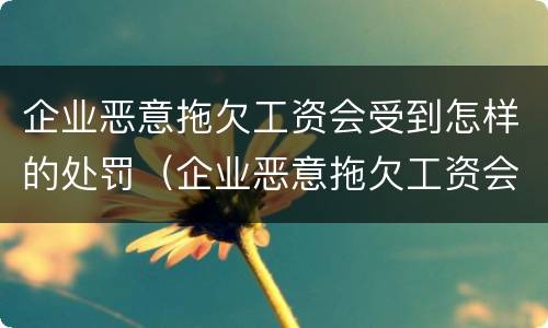 企业恶意拖欠工资会受到怎样的处罚（企业恶意拖欠工资会受到怎样的处罚案例）