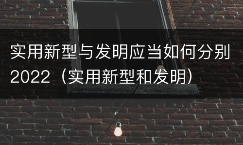 实用新型与发明应当如何分别2022（实用新型和发明）