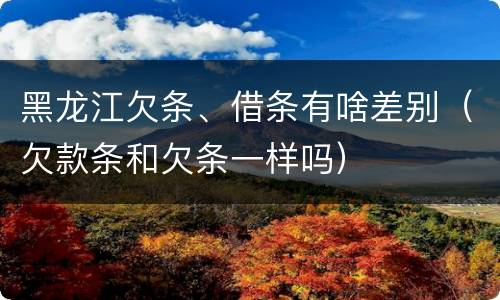 黑龙江欠条、借条有啥差别（欠款条和欠条一样吗）