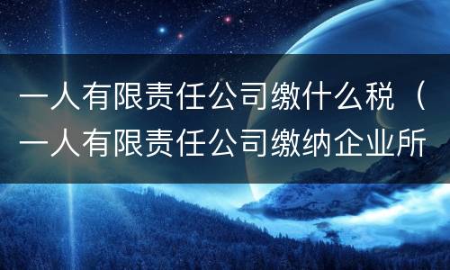 一人有限责任公司缴什么税（一人有限责任公司缴纳企业所得税吗）