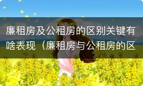 廉租房及公租房的区别关键有啥表现（廉租房与公租房的区别在哪里）