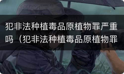 犯非法种植毒品原植物罪严重吗（犯非法种植毒品原植物罪严重吗判几年）