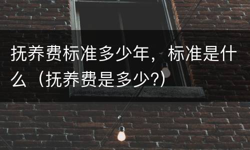 抚养费标准多少年，标准是什么（抚养费是多少?）
