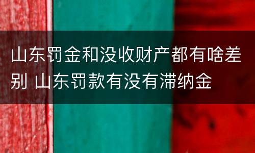 山东罚金和没收财产都有啥差别 山东罚款有没有滞纳金