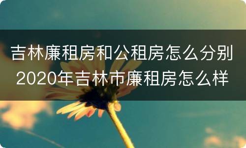 吉林廉租房和公租房怎么分别 2020年吉林市廉租房怎么样