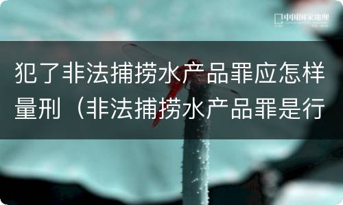 犯了非法捕捞水产品罪应怎样量刑（非法捕捞水产品罪是行为犯吗）