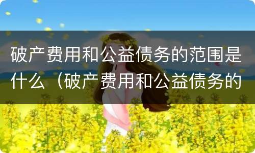 破产费用和公益债务的范围是什么（破产费用和公益债务的范围是什么区别）