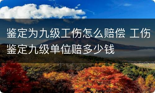 鉴定为九级工伤怎么赔偿 工伤鉴定九级单位赔多少钱