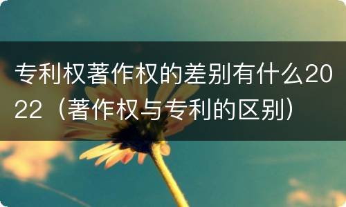 专利权著作权的差别有什么2022（著作权与专利的区别）