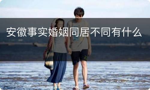 安徽事实婚姻同居不同有什么