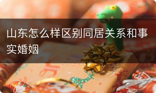 山东怎么样区别同居关系和事实婚姻