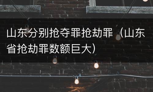 山东分别抢夺罪抢劫罪（山东省抢劫罪数额巨大）