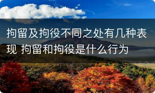 拘留及拘役不同之处有几种表现 拘留和拘役是什么行为