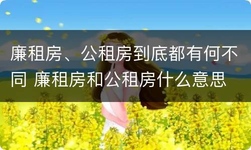 廉租房、公租房到底都有何不同 廉租房和公租房什么意思
