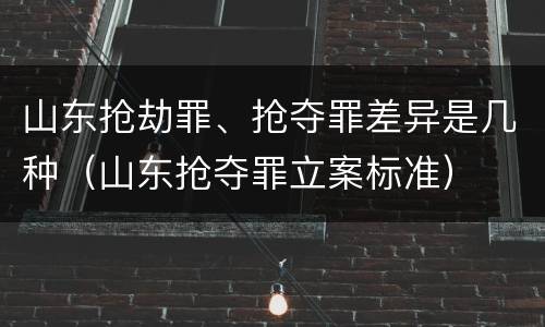山东抢劫罪、抢夺罪差异是几种（山东抢夺罪立案标准）