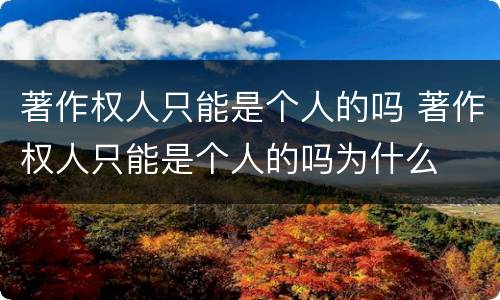 著作权人只能是个人的吗 著作权人只能是个人的吗为什么