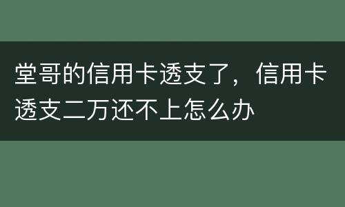 堂哥的信用卡透支了，信用卡透支二万还不上怎么办