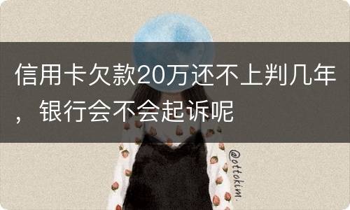 信用卡欠款20万还不上判几年，银行会不会起诉呢