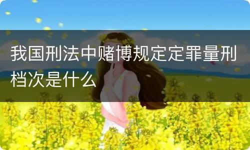 我国刑法中赌博规定定罪量刑档次是什么