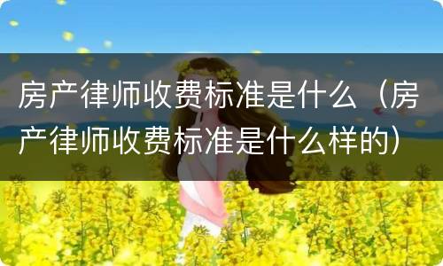 房产律师收费标准是什么（房产律师收费标准是什么样的）