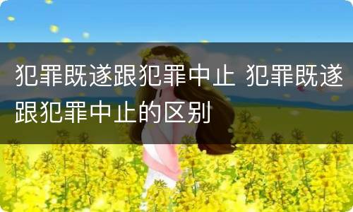 犯罪既遂跟犯罪中止 犯罪既遂跟犯罪中止的区别