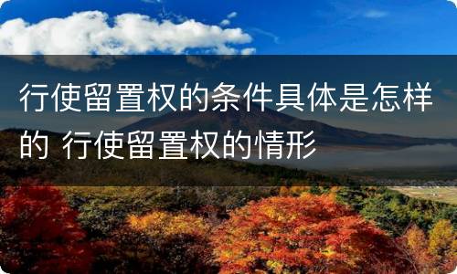 行使留置权的条件具体是怎样的 行使留置权的情形