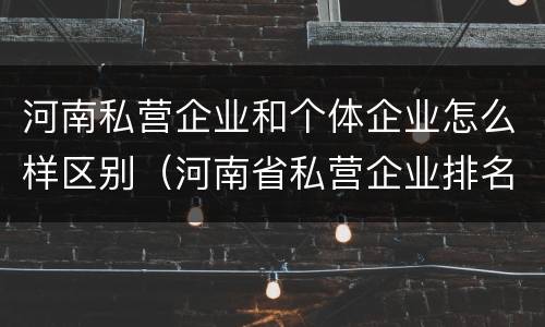 河南私营企业和个体企业怎么样区别（河南省私营企业排名）