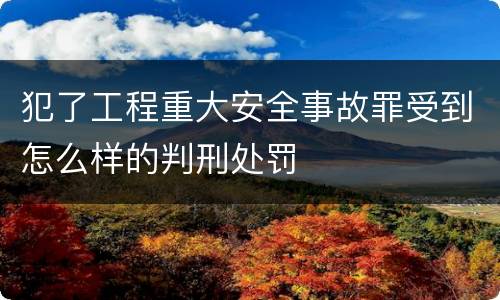 犯了工程重大安全事故罪受到怎么样的判刑处罚