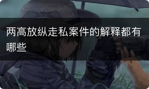 两高放纵走私案件的解释都有哪些